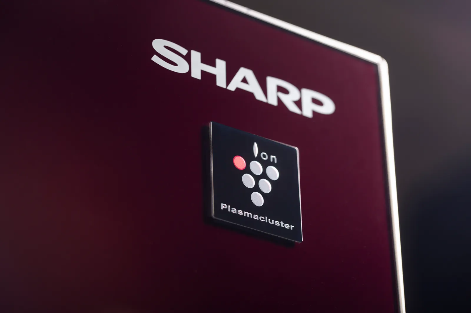 Холодильник Sharp SJGX98PRD — фото 3