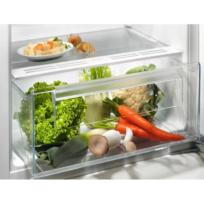 Холодильник Electrolux LRB3AE12S — фото 2