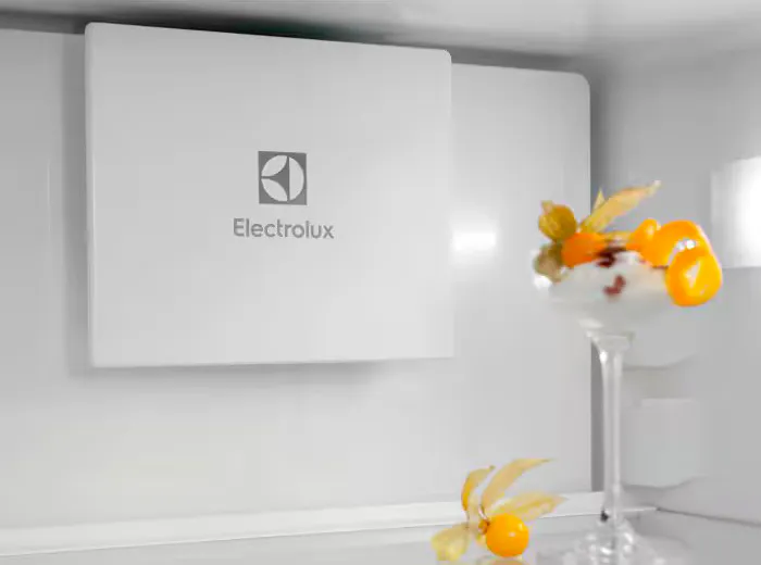 Холодильник Electrolux ENT6MD18S3 — фото 5